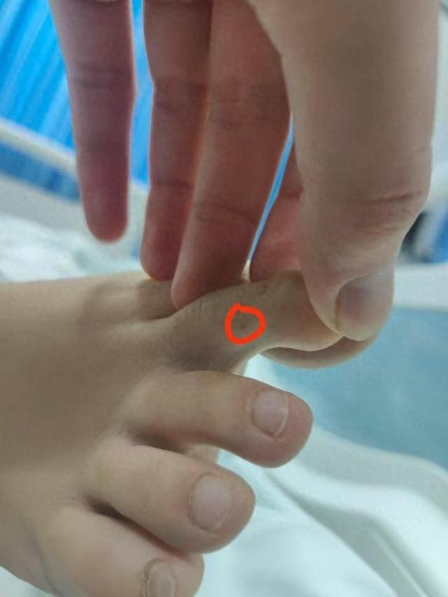 回应质疑:没提任何索赔只希望调查清楚pg电子平台三亚身亡女游客堂姐直播(图2) 回应质疑:没提任何索赔只希望调查清楚pg电子平台三亚身亡女游客堂姐直播(图2)